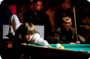  BUFFALO. 4- .  -  